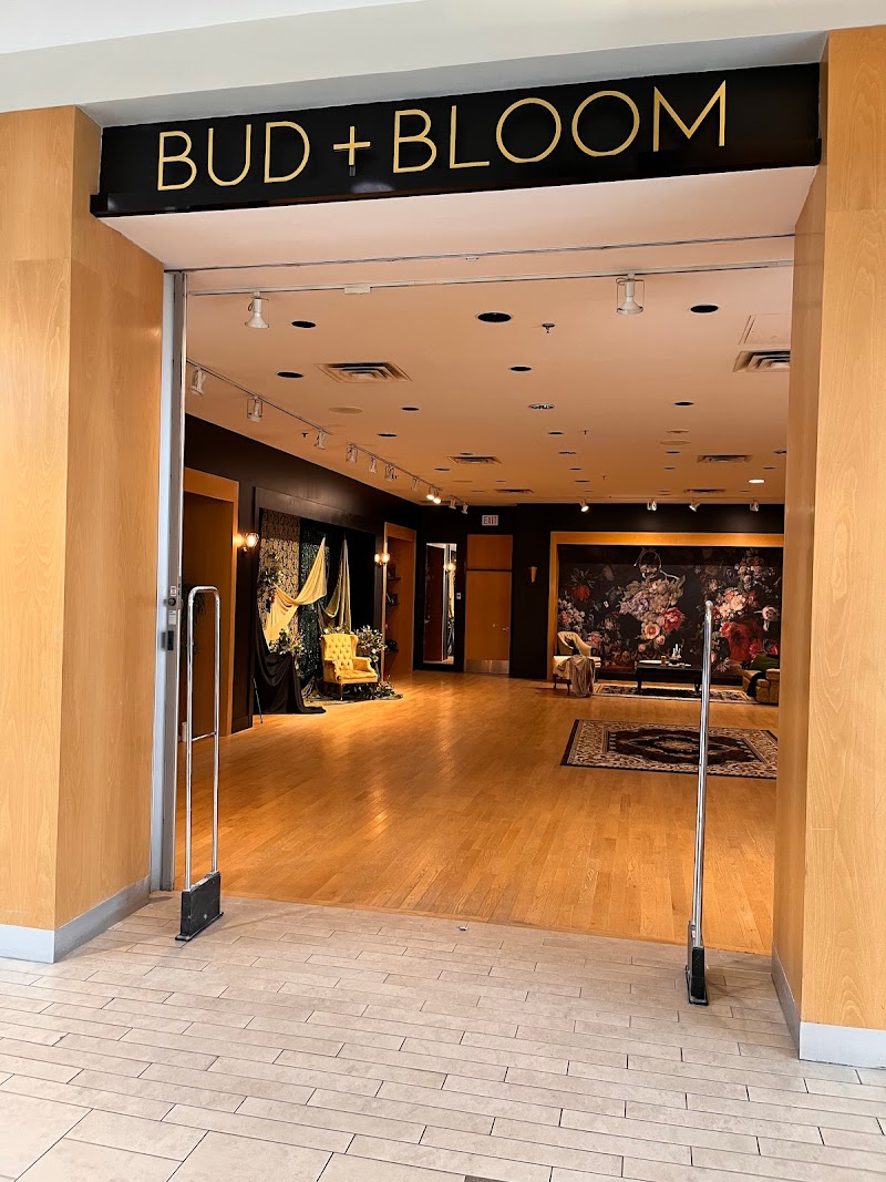 Bud + Bloom