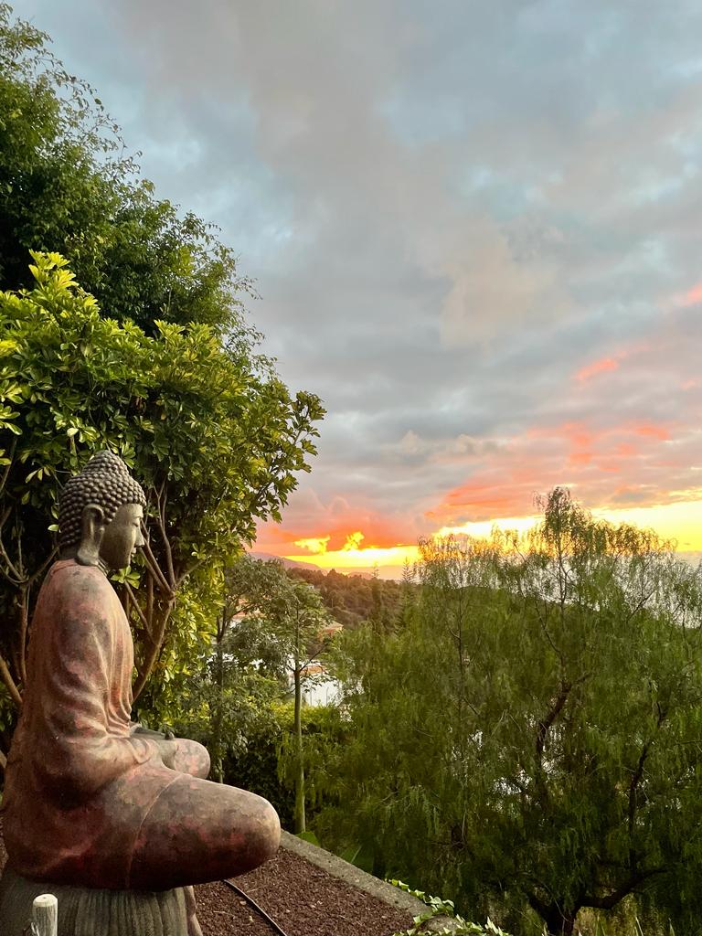 Casita de Ayurveda Tenerife — 4