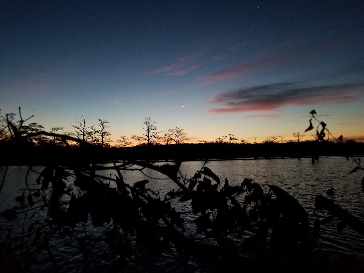 Old Post Duck Lodge