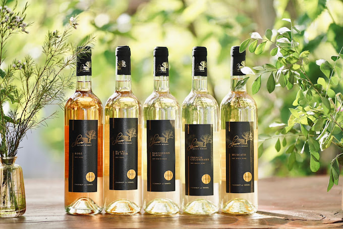 Shorer winery