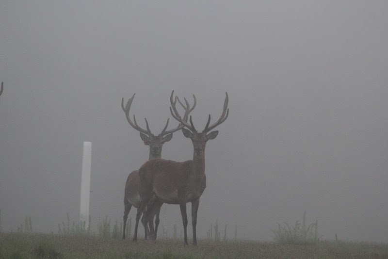 Long Branch Creek Farm - Photo 3
