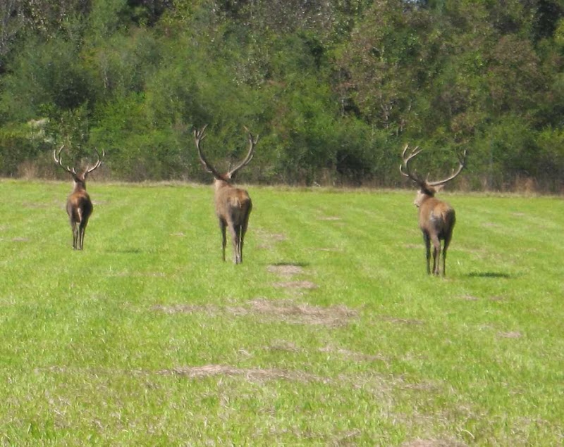Long Branch Creek Farm - Photo 5