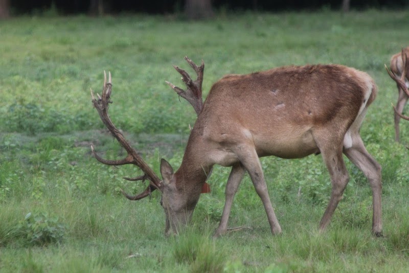 Long Branch Creek Farm - Photo 4