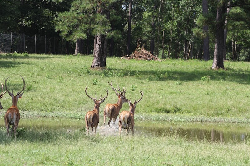 Long Branch Creek Farm - Photo 1