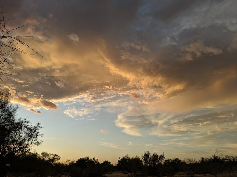 Rillito River Park Disc Golf Course photo 3