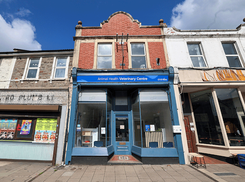 Animal Health Veterinary Centre in Bristol