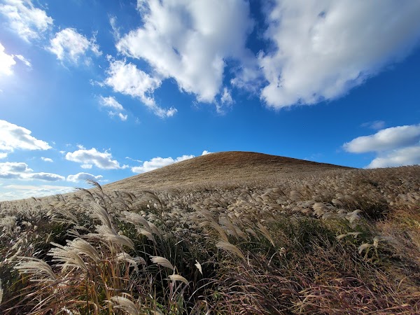 🇰🇷 Things to do in Korea - March 2026 13