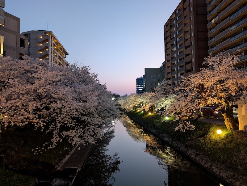 Toyama Manten Hotel
