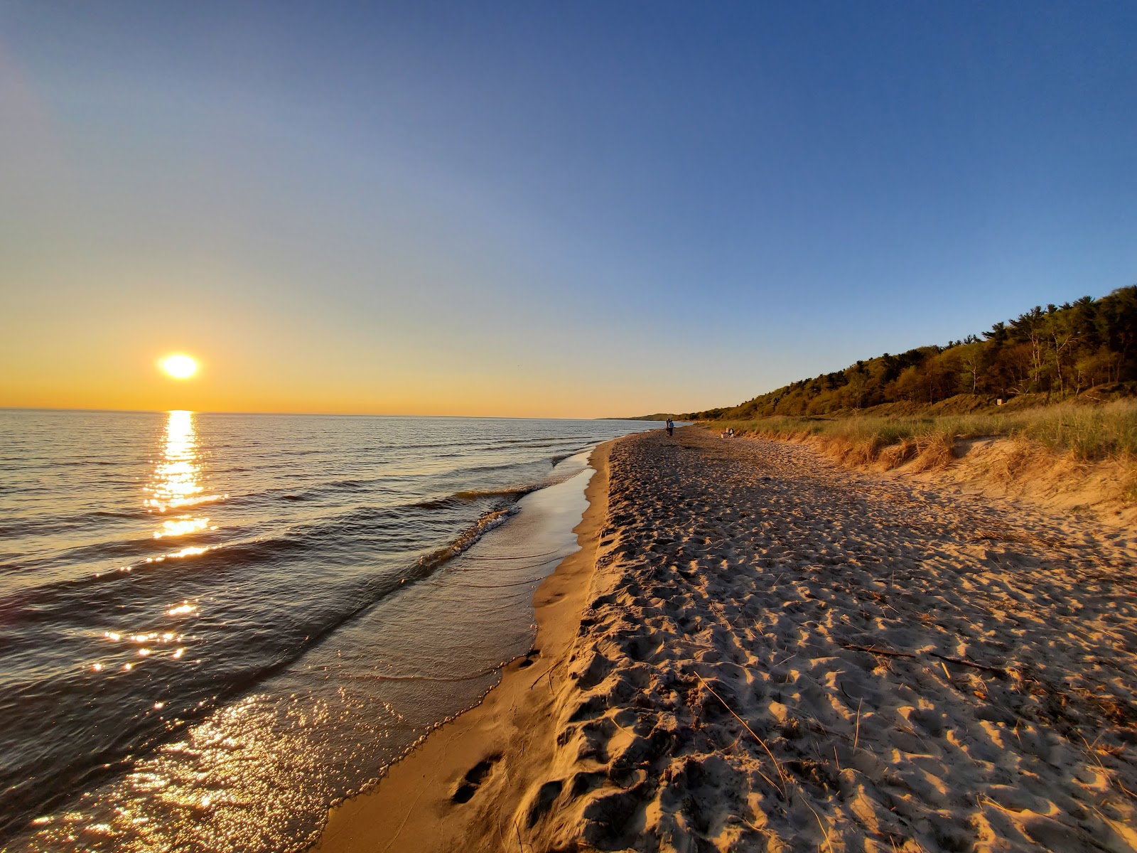 Flower Creek Dunes Nature Preserve 3