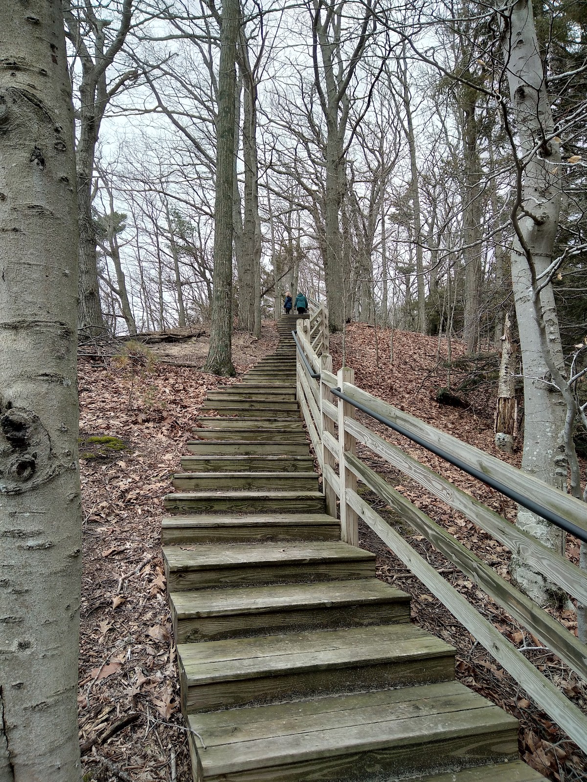Flower Creek Dunes Nature Preserve 2