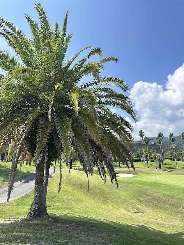 J Classic Golf Club - Photo 9