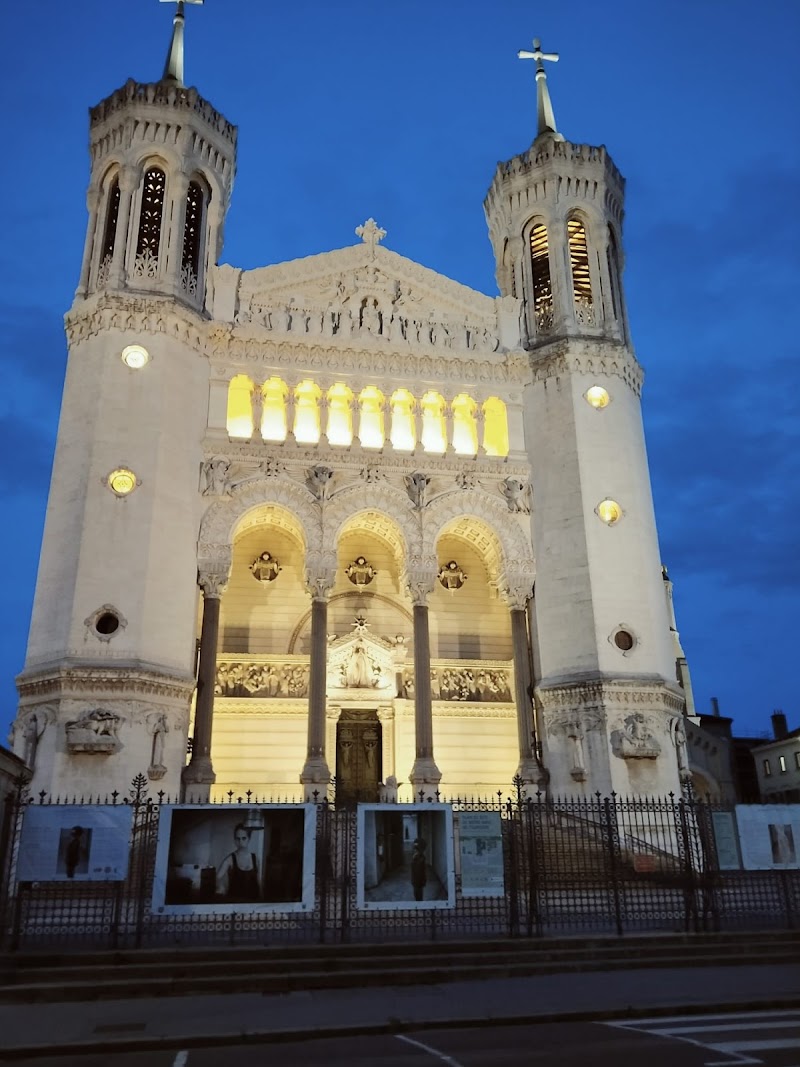 Acupuncture Traditionnelle Chinoise Lyon St Just -Temps calme(stress, sommeil, douleur)