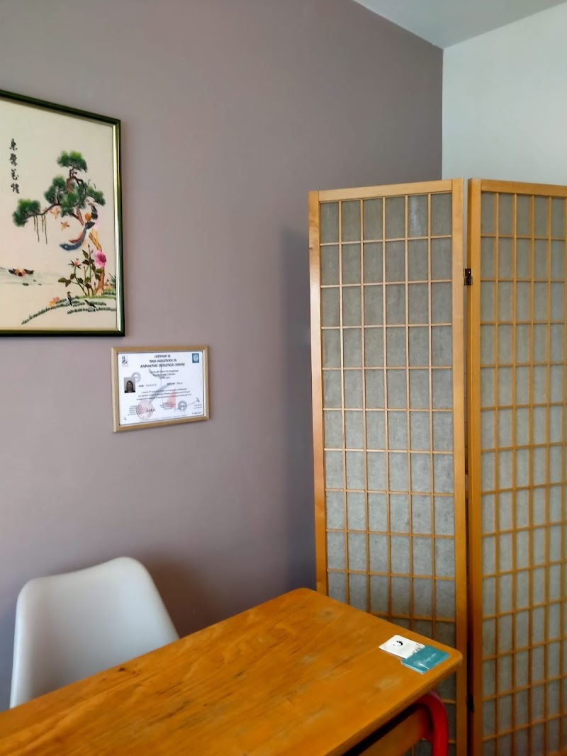Acupuncture Traditionnelle Chinoise Lyon St Just -Temps calme(stress, sommeil, douleur)