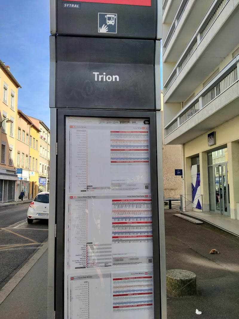 Acupuncture Traditionnelle Chinoise Lyon St Just -Temps calme(stress, sommeil, douleur)