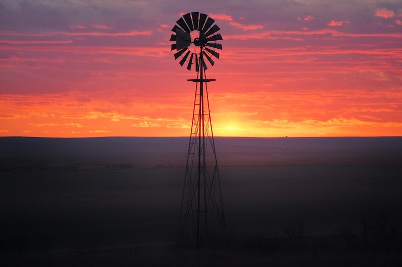 Ringnecks Hunting Lodge - Photo 3
