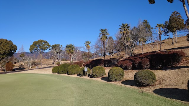 Miyajima Shiwa Country Club - Photo 7