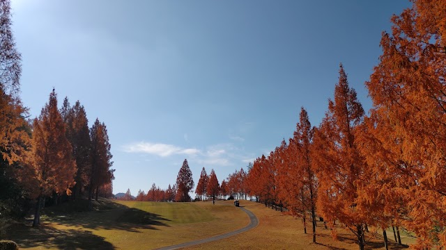 Miyajima Shiwa Country Club - Photo 9
