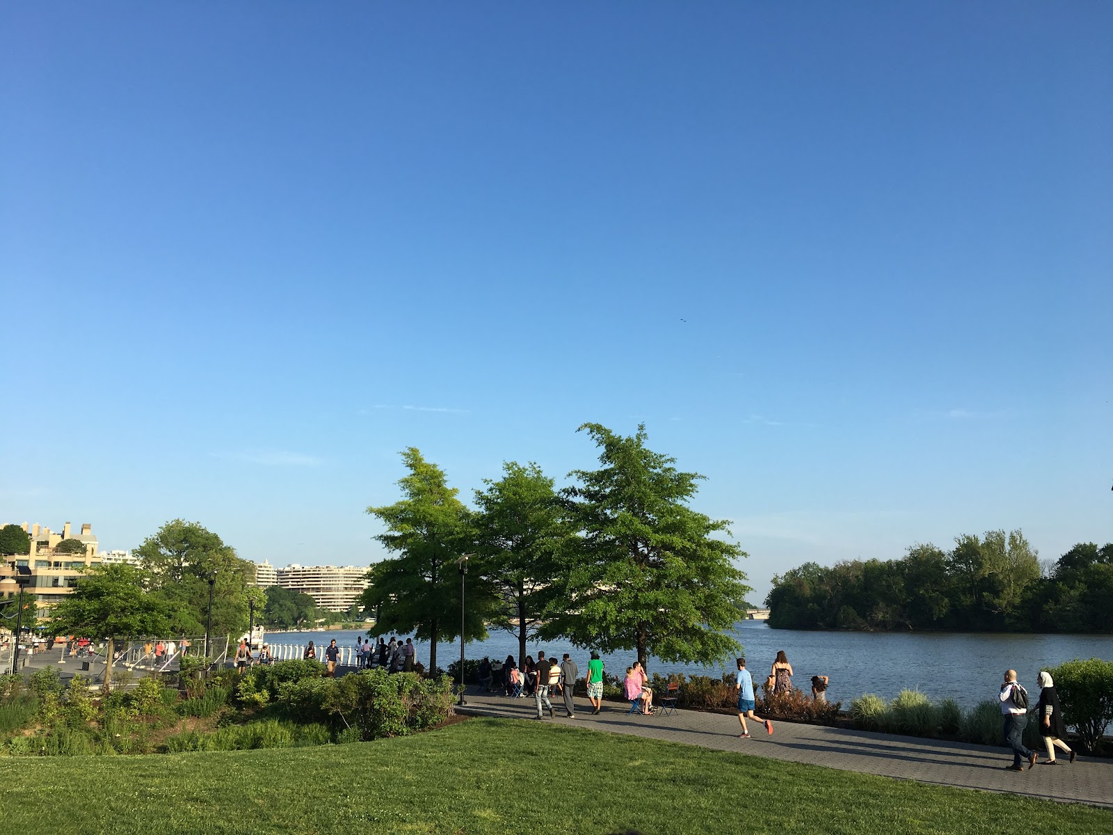 Best Dog-Friendly Hotels in Washington DC, United States