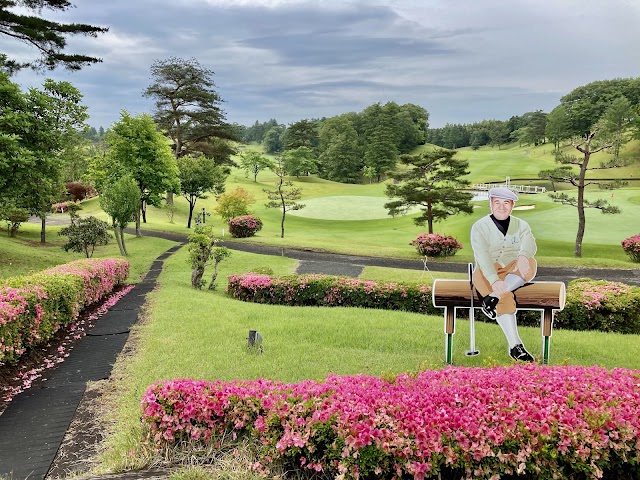Junk Classic Country Club - Photo 3