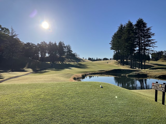 Junk Classic Country Club - Photo 2