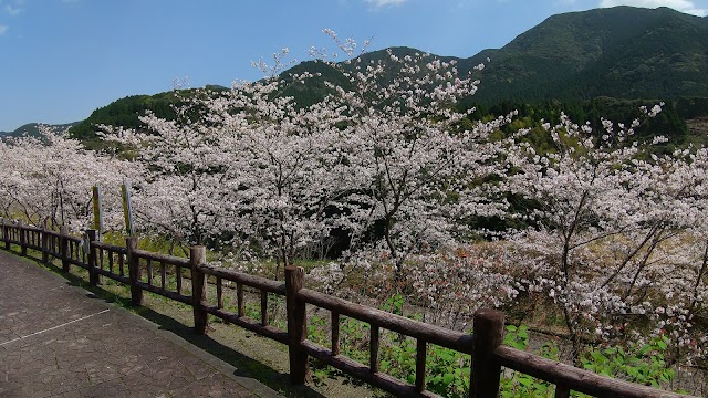 Kagoshima Kanoya Country Club - Photo 9