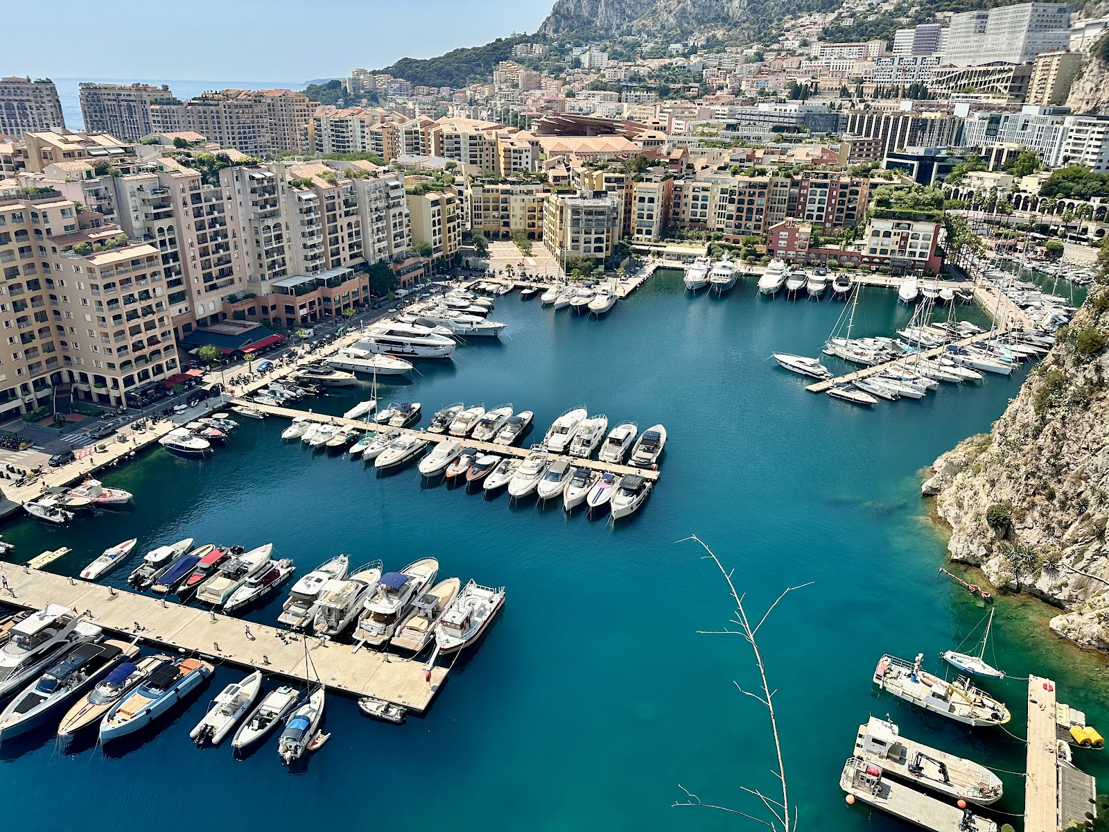 Best Dog-Friendly Hotels in Monaco, Monaco