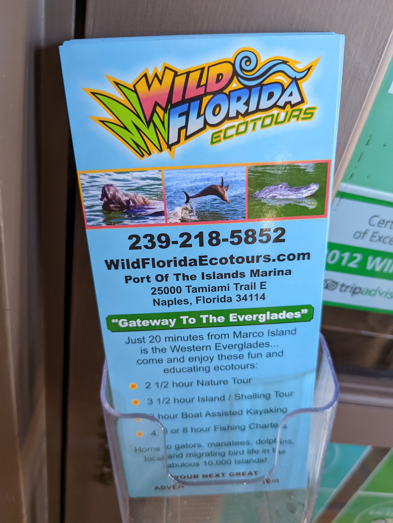 Wild Florida Ecotours