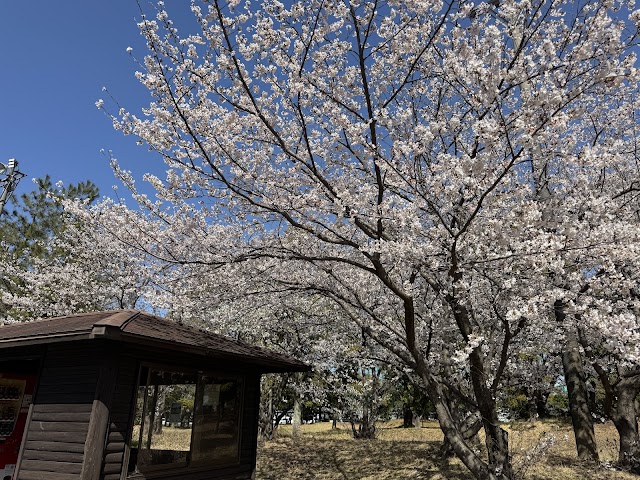 Marugame Public Golf Course - Photo 2