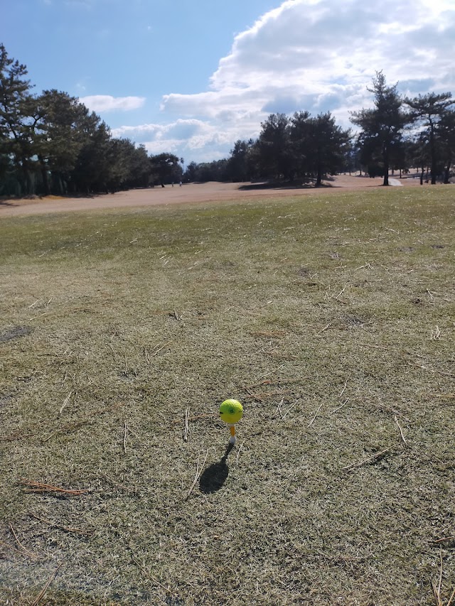 Marugame Public Golf Course - Photo 9