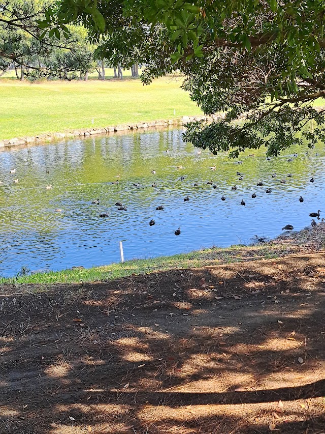 Marugame Public Golf Course - Photo 6