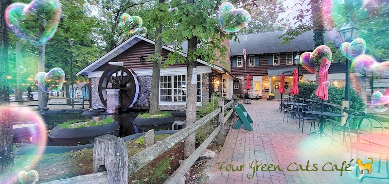 Four Green Cats Cafe photo 4
