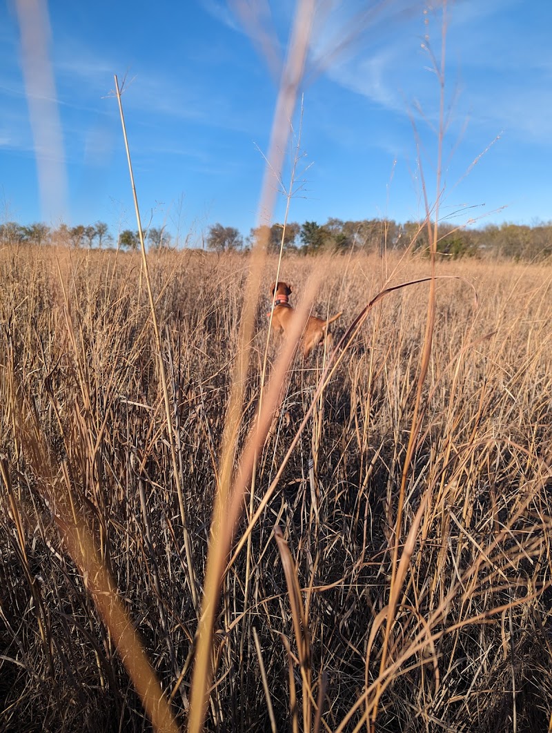 The Prairie's End Hunt Club - Photo 3