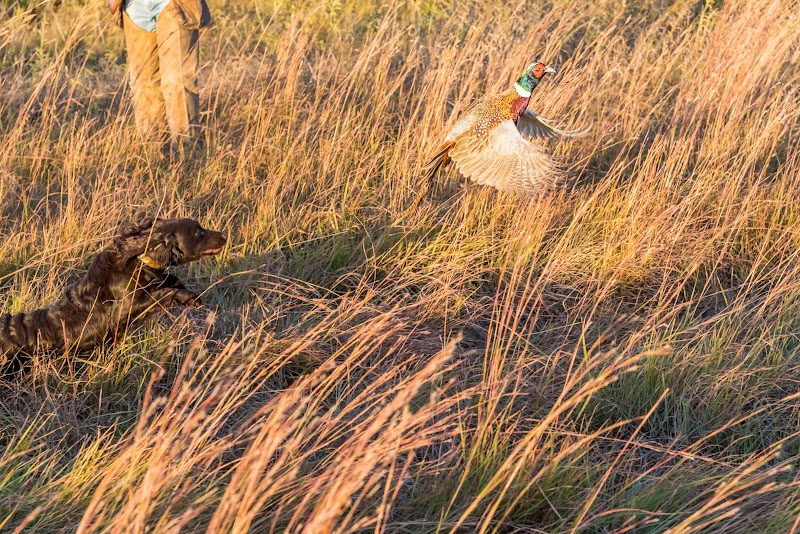 The Prairie's End Hunt Club - Photo 1