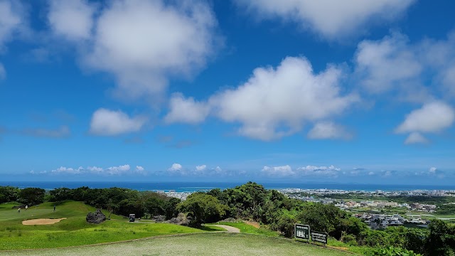 Palm Hills Golf Resort Club - Photo 2