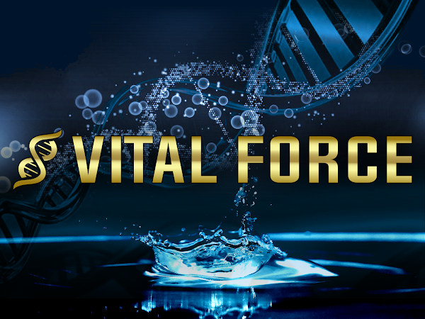 Vital Force Therapy and Wellness