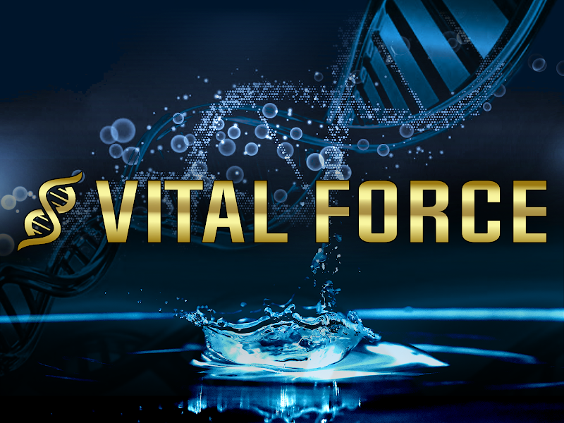 Vital Force Therapy and Wellness