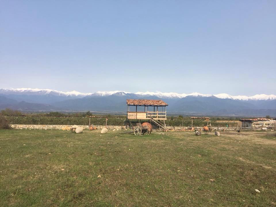 Biodynamic.Ge