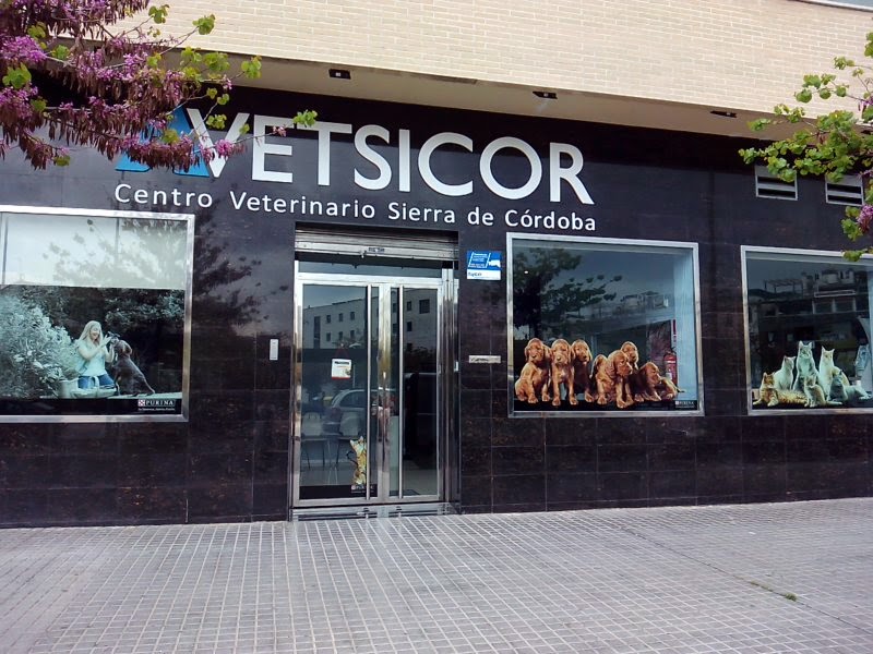 Hospital Veterinario Vetsicor | MiVet