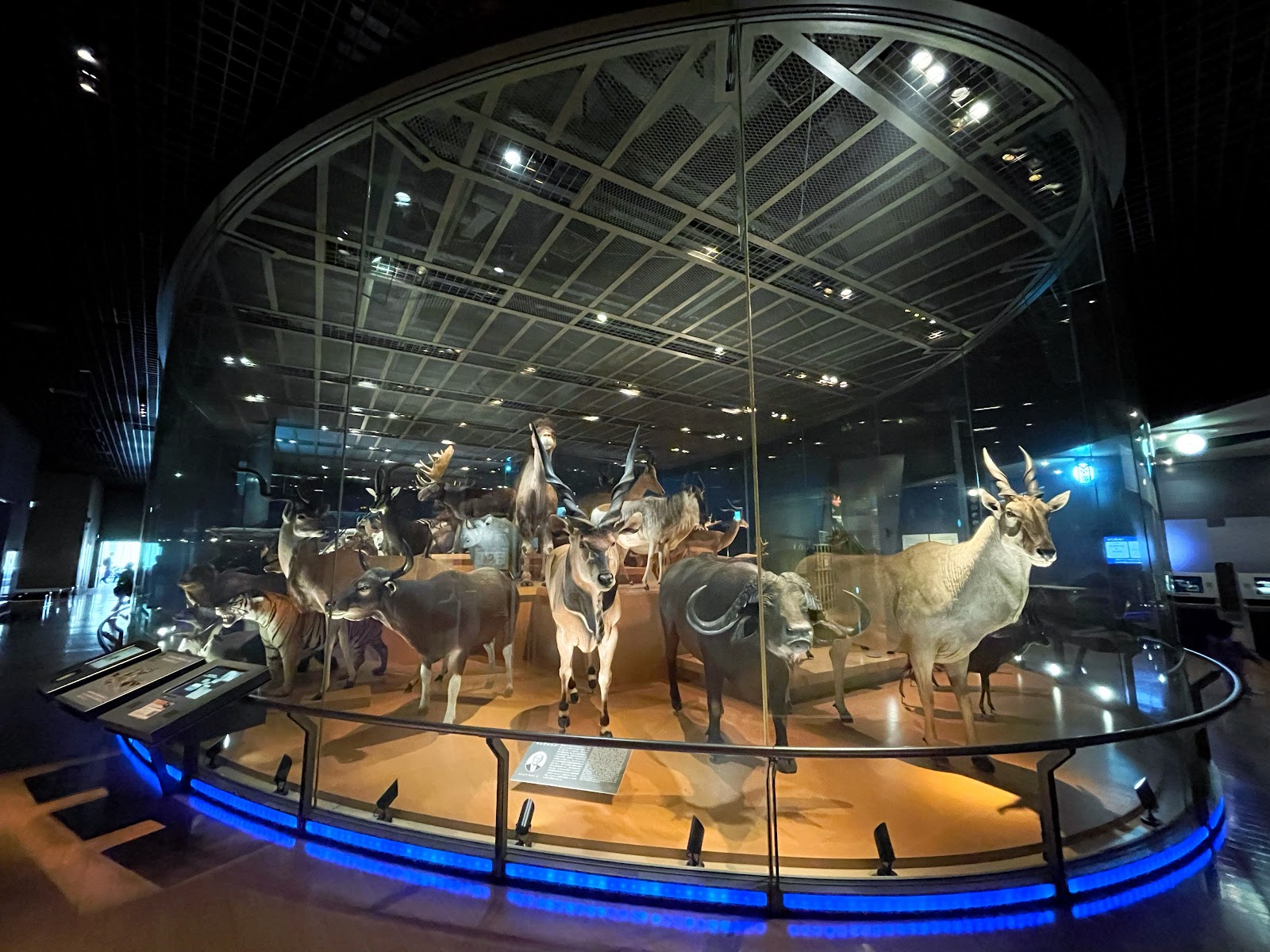 National Museum of Nature and Science