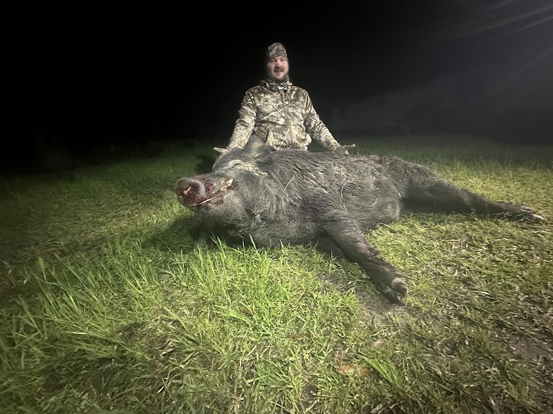Greenefield Hunting lodge LLC - Photo 1