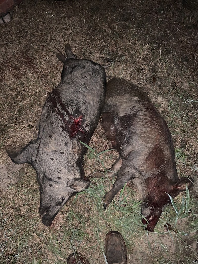 Greenefield Hunting lodge LLC - Photo 3