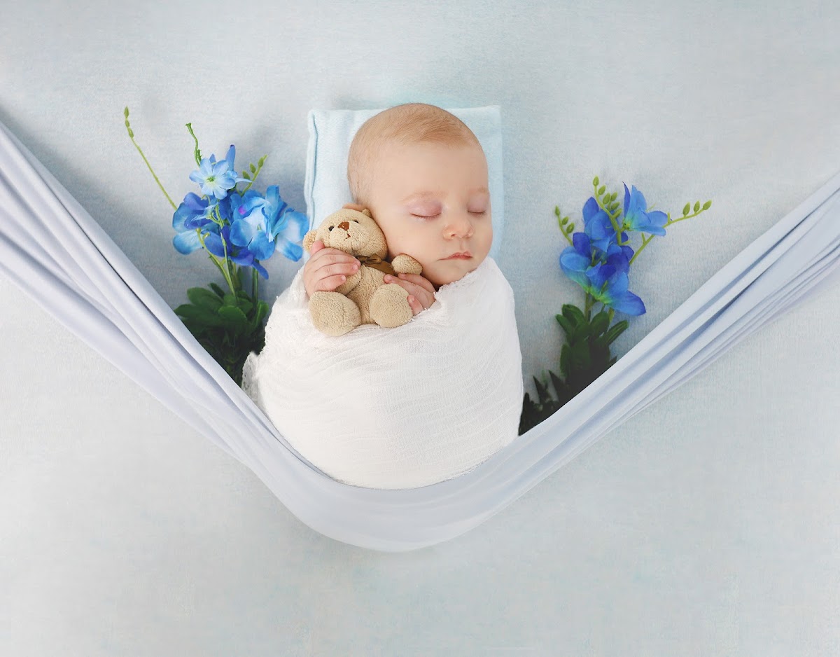 RealDepthOfField Photography: Google Places image 5