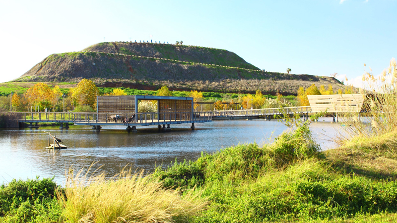 תמונה של הדוב הירוק - פארק אקולוגי הוד השרון - אולם אירועים תרבות ובידור