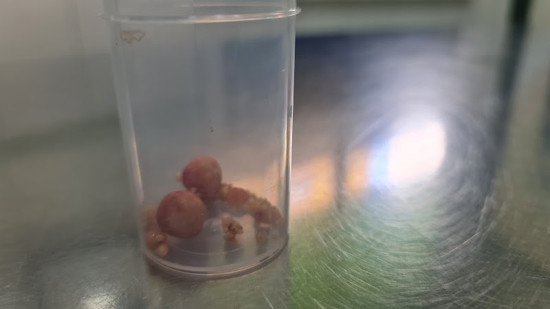 Centro Veterinario El Carmen