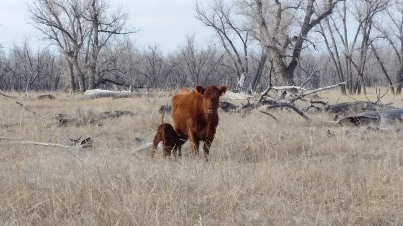 Sunrise Ranch - Photo 3