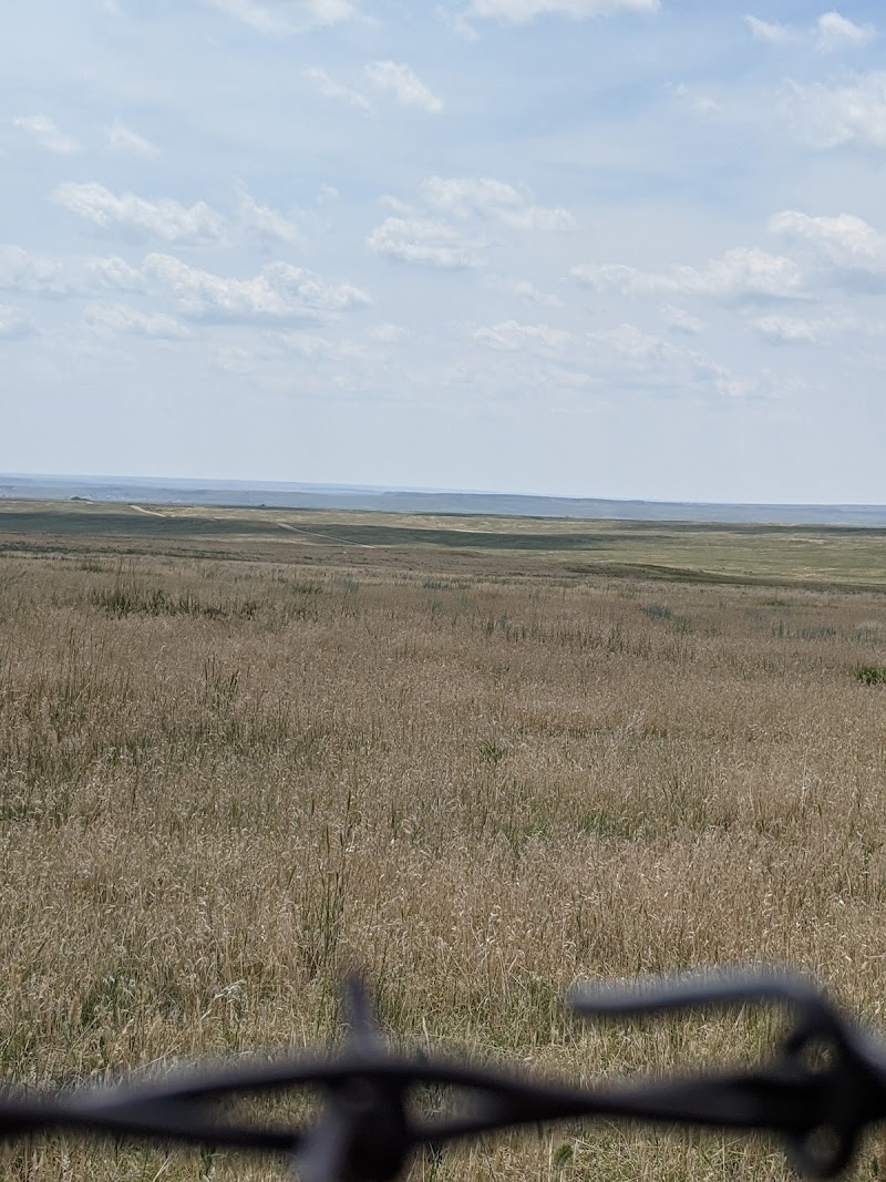 Sunrise Ranch - Photo 6