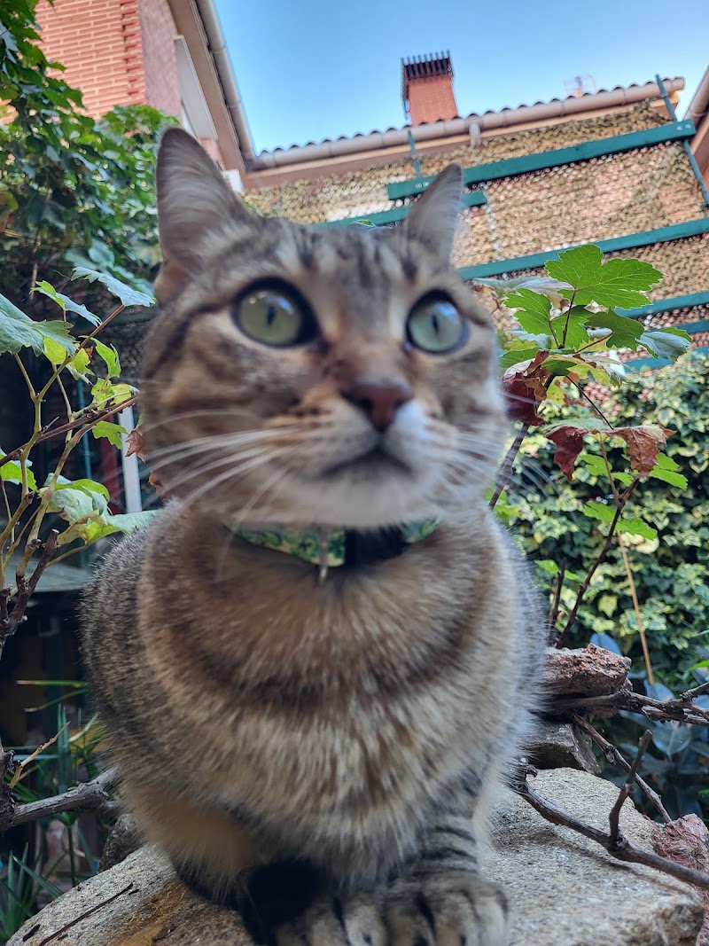 Centro Veterinario Yuncos
