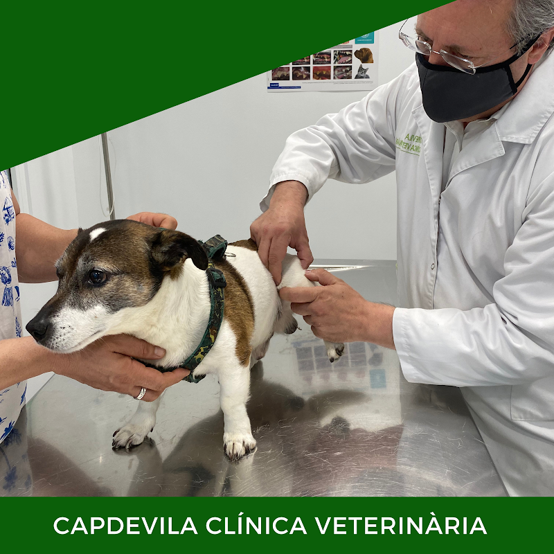 Clínica Veterinària Capdevila SLP