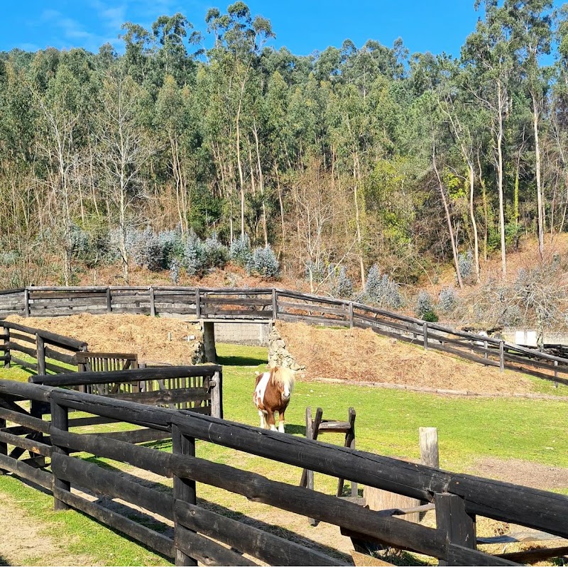 Corazón de Carballo photo 4