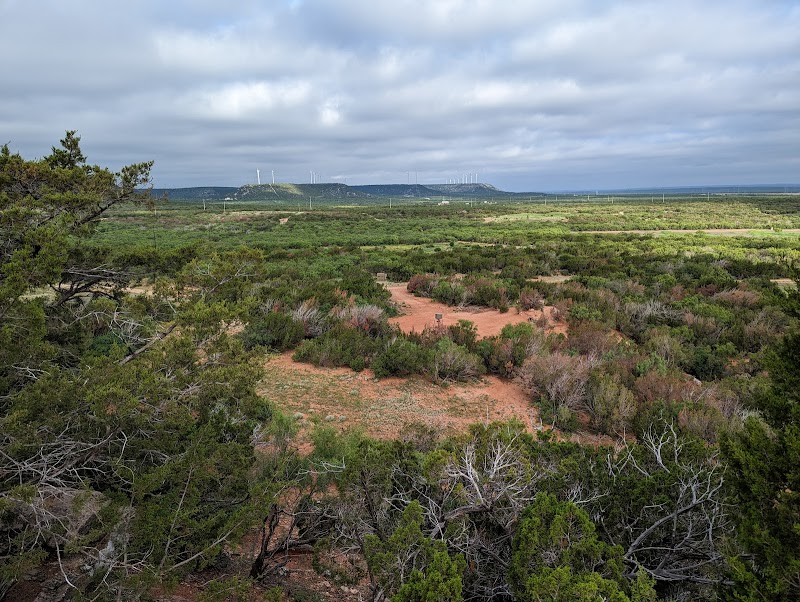 Dos Plumas Hunting Ranch - Photo 6